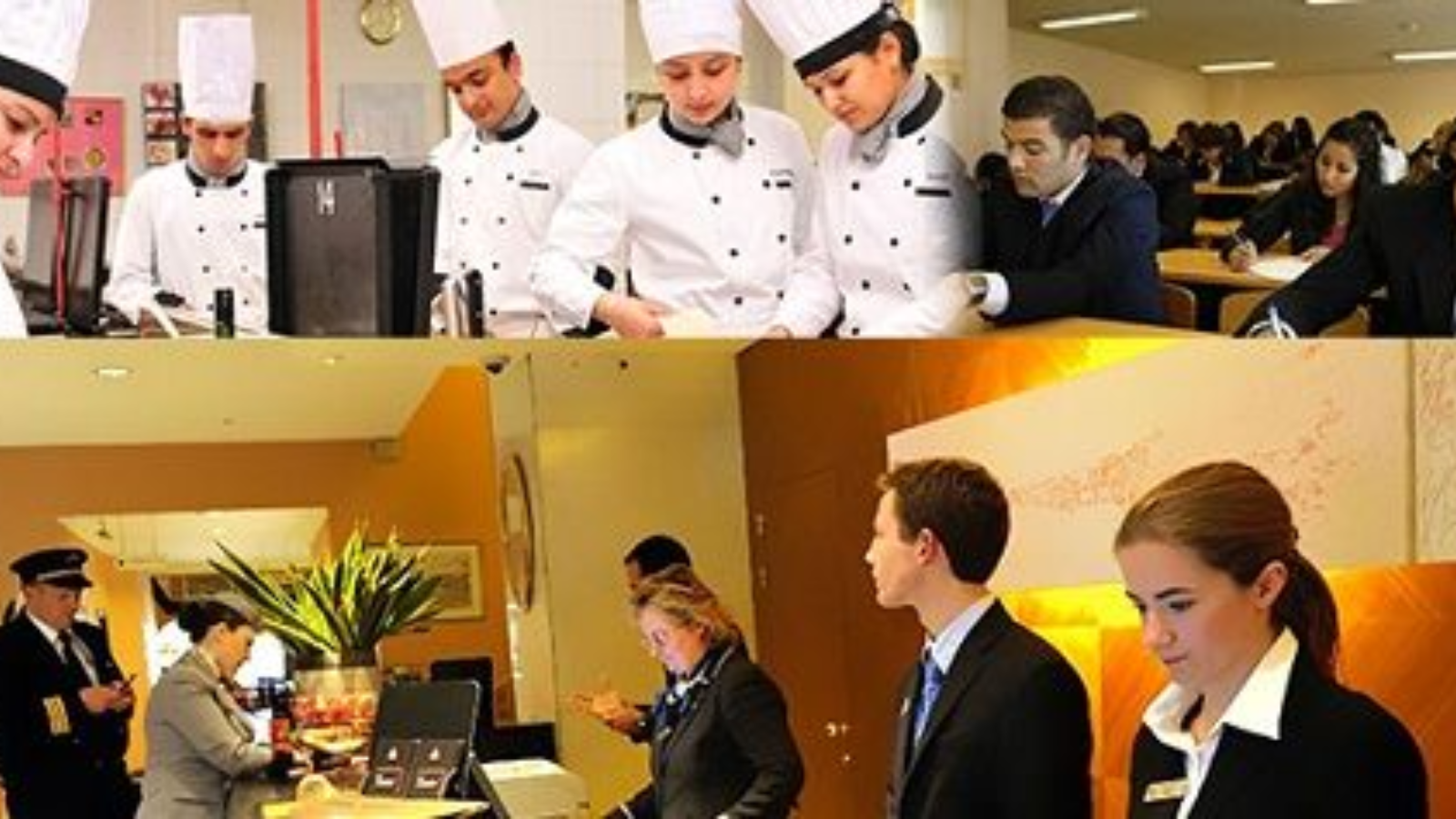 Hotel management institute Connaught Place