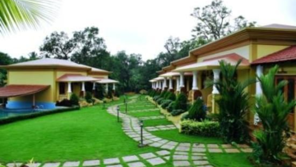Eco-Friendly Hotel Operations Explained